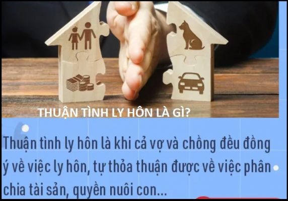 thuận tình ly hôn là gì?