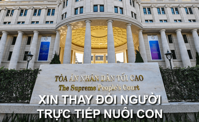 do-xin-thay-doi-quyen-truc-tiep-nuoi-con