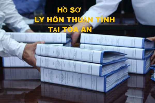 thu tuc ly hon tai toa an